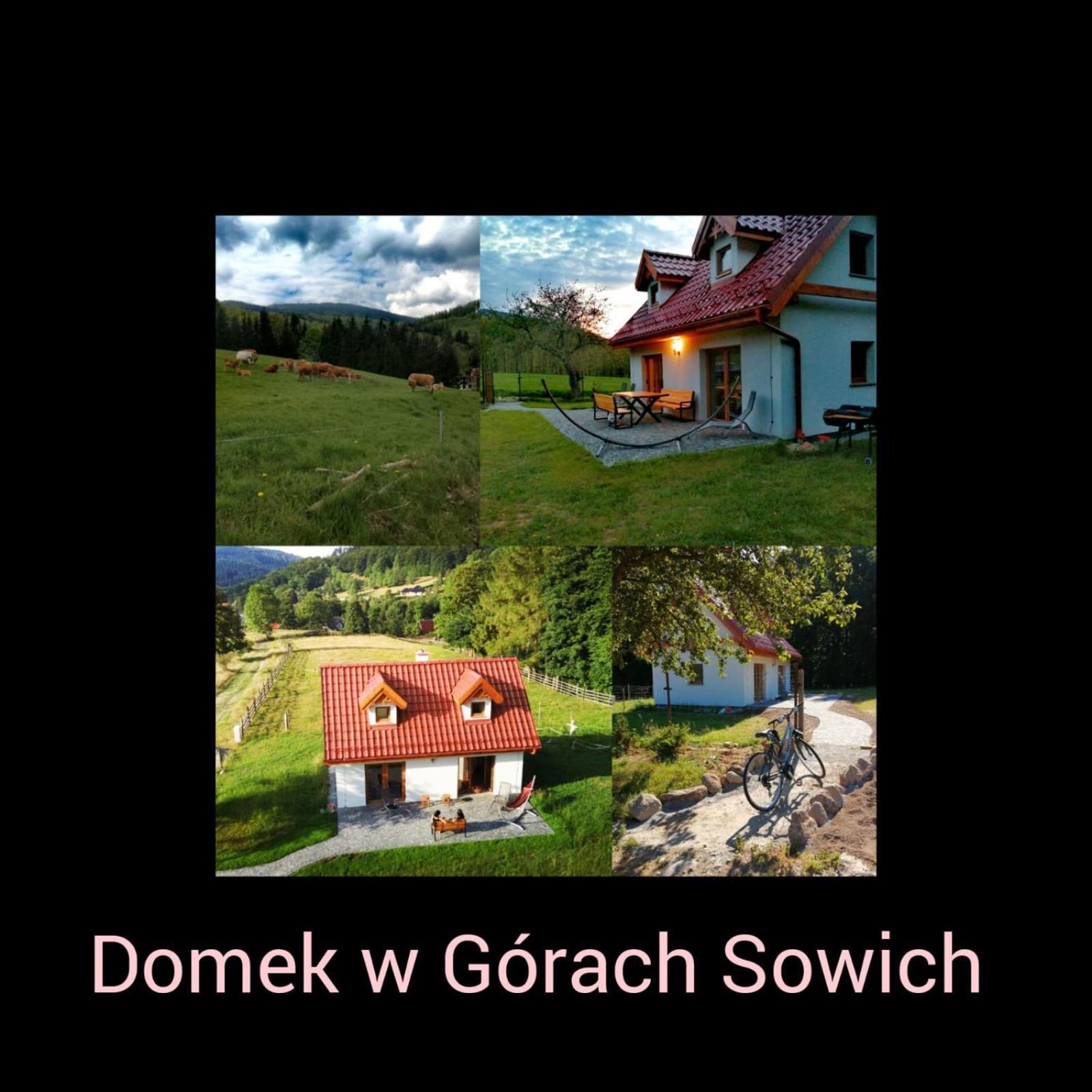 Domek W Gorach Sowich Pieszyce المظهر الخارجي الصورة